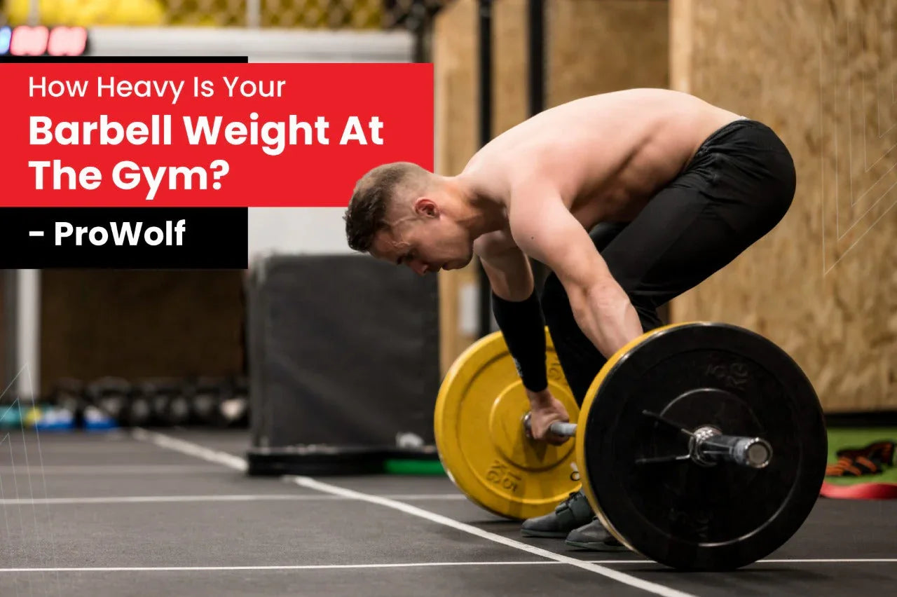 Everything to know about weight barbells