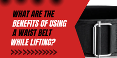 Power LIfting Waist Belt