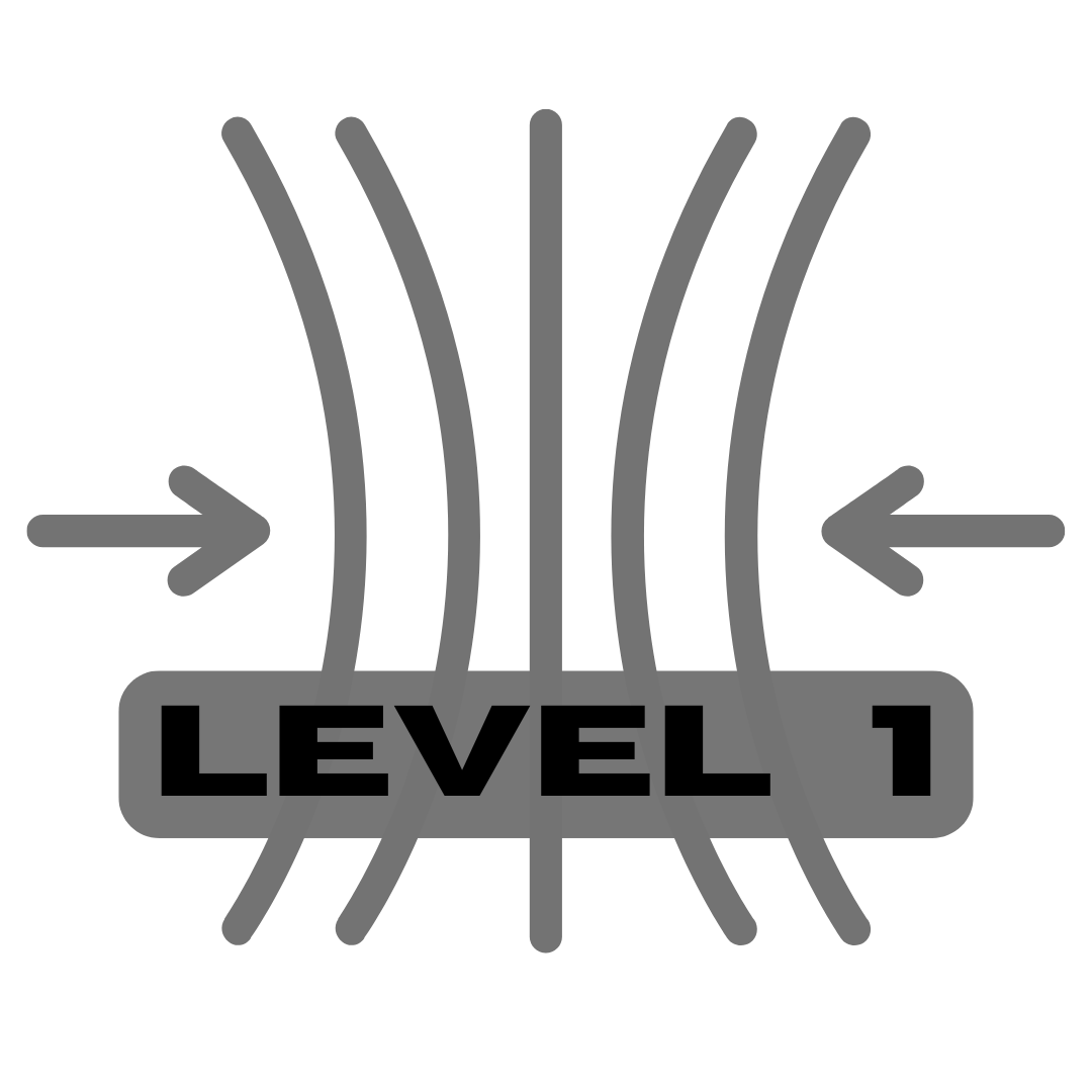 Level 1