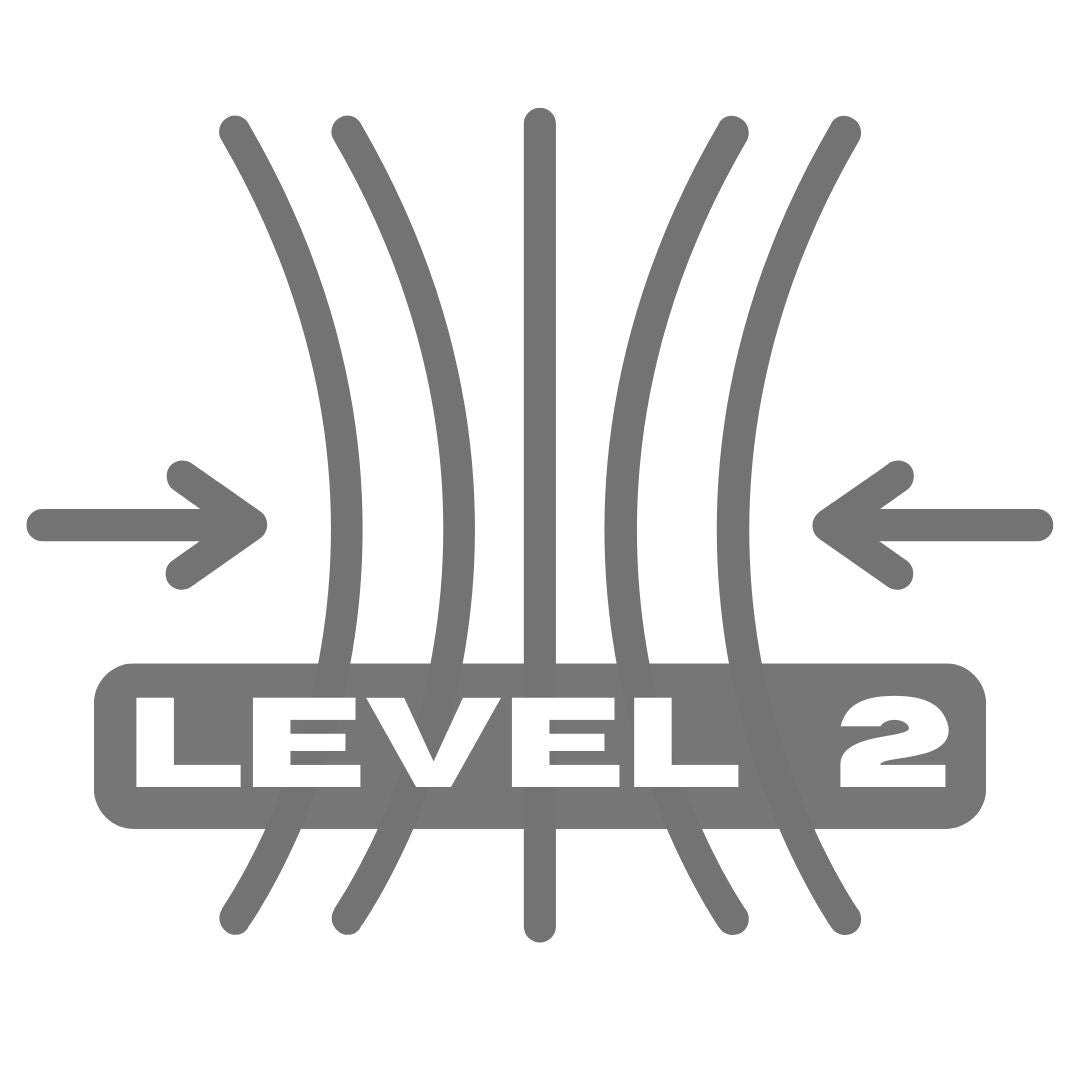 Level 2