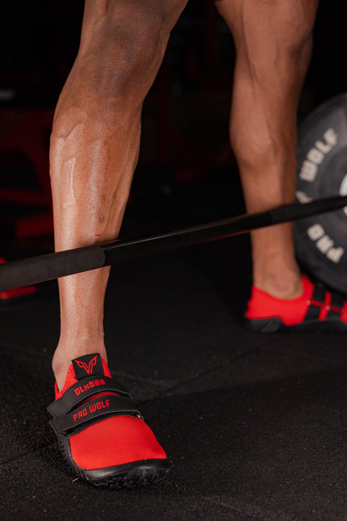 PRO WOLF | Premium Weightlifting & Deadlift Shoes